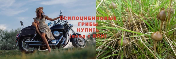 мескалин Магас