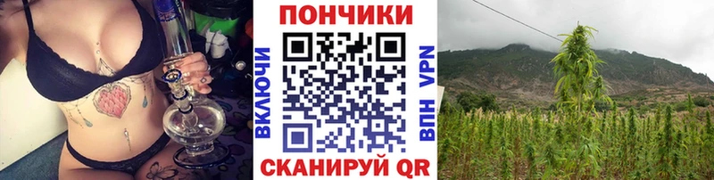 купить закладку  это формула  МЕГА ССЫЛКА  Каннабис White Widow  Пугачёв 